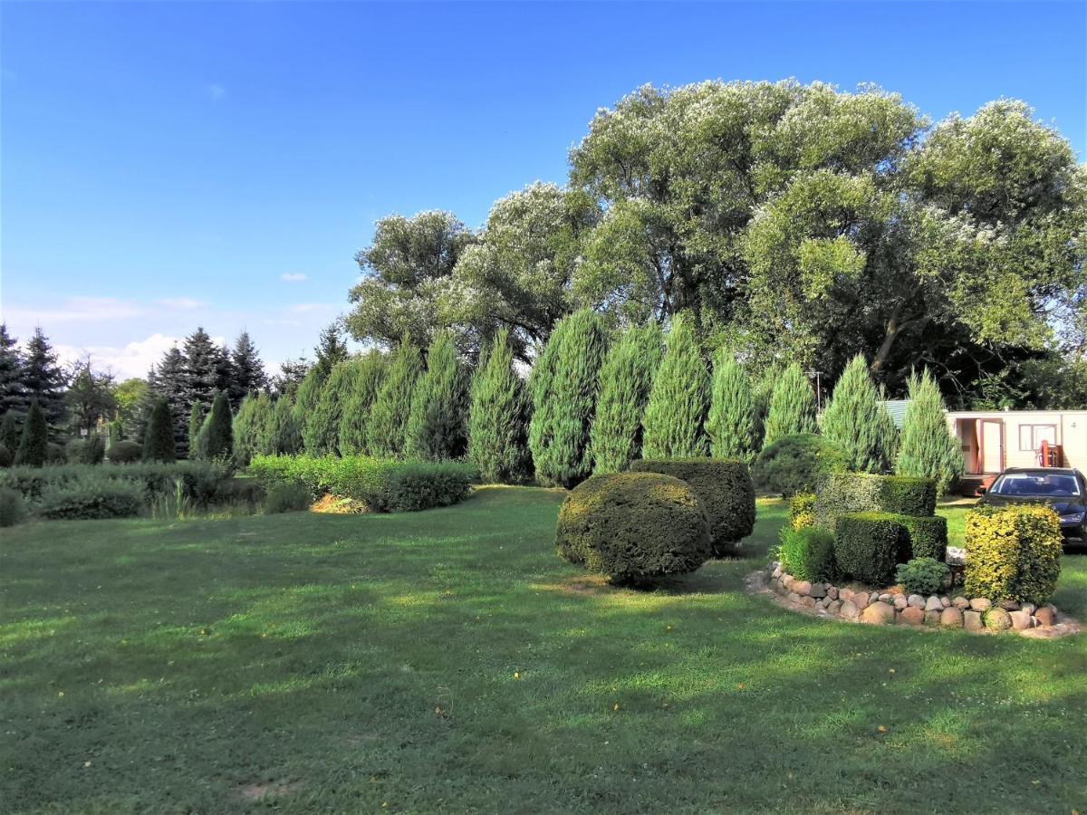 Brzozowe Zacisze Villa Lagow  Exterior photo